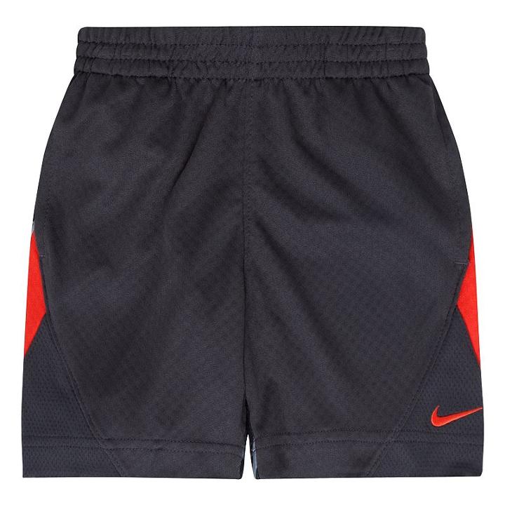 Toddler Boy Nike Dri-fit Aop Avalanche Printed Short, Size: 3t, Silver