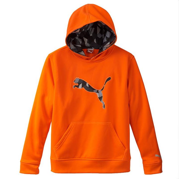 Boys 4-7 Puma Big Cat Performance Hoodie, Boy's, Size: 4, Orange Oth