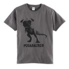 Boys 8-20 Pugasaurus Tee, Size: Large, Oxford