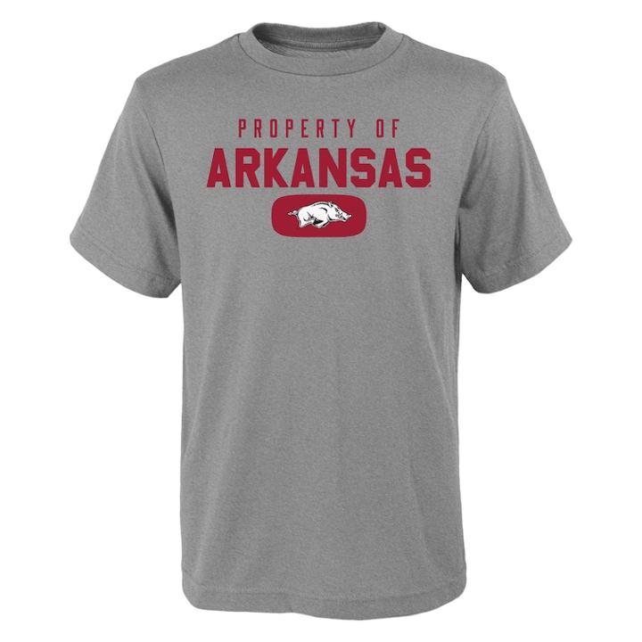 Boys 4-18 Arkansas Razorbacks Property Of Tee, Size: 16-18, Grey