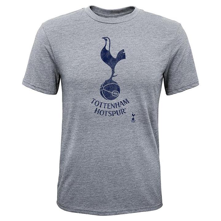 Boys 8-20 Tottenham Hotspur Fc Distressed Logo Tee, Boy's, Size: M(10-12), Grey