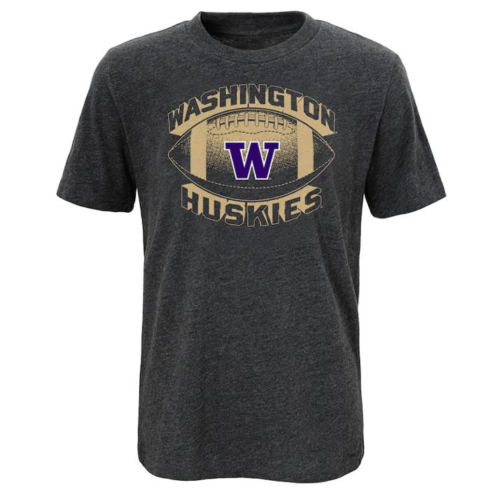 Boys 8-20 Washington Huskies Satellite Tee, Size: L 14-16, Gray