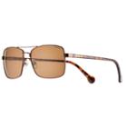 Converse H052 58mm Chuck Taylor Polarized Aviator Sunglasses, Adult Unisex, Brown