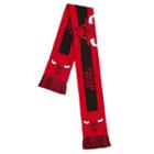 Adult Forever Collectibles Chicago Bulls Big Logo Scarf, Multicolor