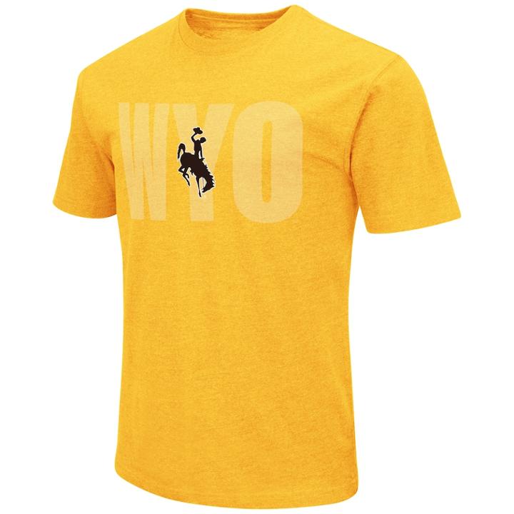 Men's Wyoming Cowboys Motto Tee, Size: Large, Dark Brown