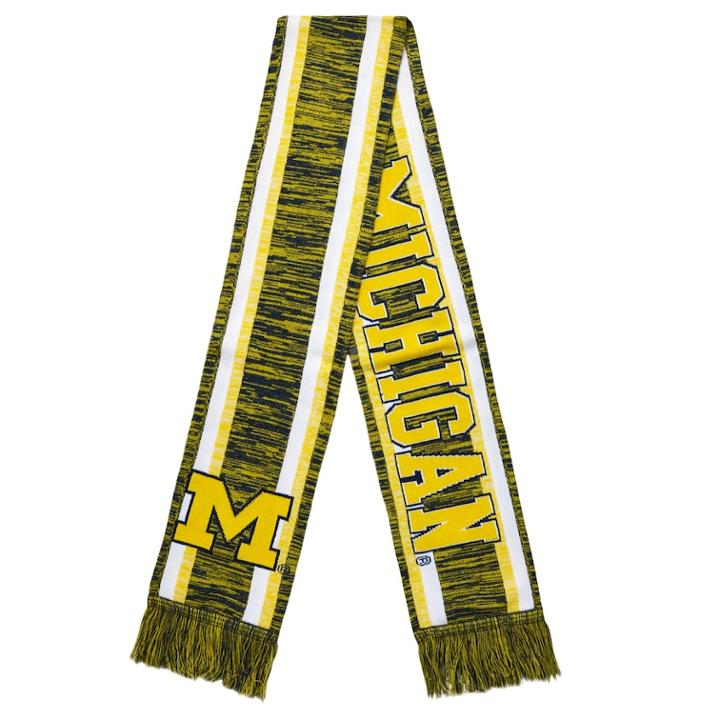 Forever Collectibles Michigan State Spartans Knit Scarf, Adult Unisex, Multicolor