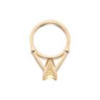 My Petite Ring 10k Gold Cubic Zirconia Birthstone Ring Charm, Women's, Yellow