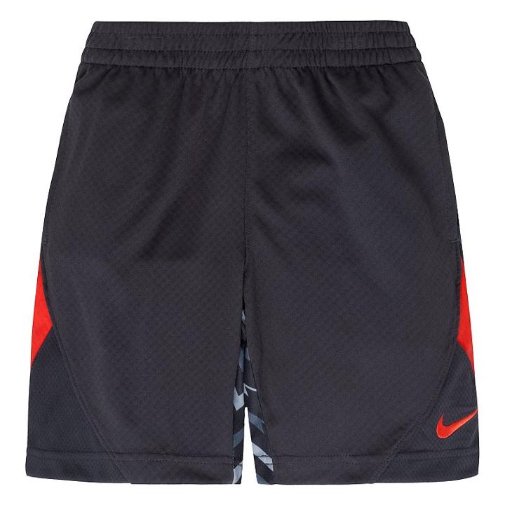 Boys 4-7 Nike Dri-fit Avalanche Shorts, Size: 5, Silver