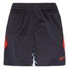 Boys 4-7 Nike Dri-fit Avalanche Shorts, Size: 5, Silver