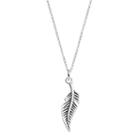 Primrose Sterling Silver Feather Pendant Necklace, Women's, Grey