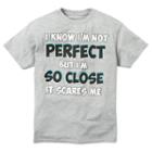 Boys 8-20 Not Perfect Tee, Boy's, Size: Large, Grey
