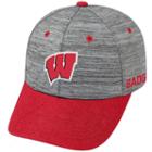 Adult Wisconsin Badgers Backstop Snapback Cap, Men's, Med Grey