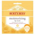 Burt's Bees Moisturizing Lip Mask, Multicolor