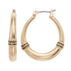 Napier Textured Oval Hoop Earrings, Women's, Gold