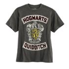 Boys 8-20 Harry Potter Hogwarts Quidditch Tee, Size: Medium, Grey (charcoal)
