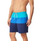Men's Speedo Colorblock Volley Swim Shorts, Size: Xl, Med Green