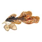 Dana Buchman Acorn Leaf Pin, Women's, Brown Oth