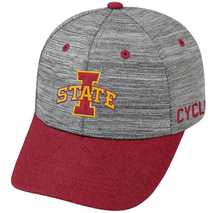 Adult Iowa State Cyclones Backstop Snapback Cap, Men's, Med Grey