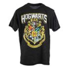 Boys 8-20 Harry Potter Hogwarts Logo Tee, Size: Large, Black