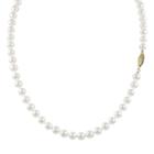 14k Gold Akoya Cultured Pearl Necklace, Women's, Size: 18, White