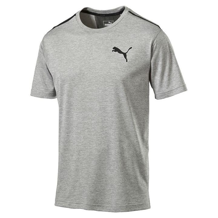 Men's Puma Tech Tee, Size: Xl, Grey Other
