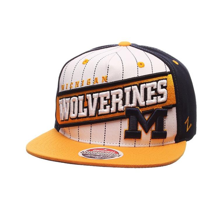Adult Zephyr Michigan Wolverines Recharge Snapback Cap, Men's, Grey