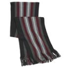 Men's Apt. 9&reg; Striped Raschel Scarf, Drk Purple