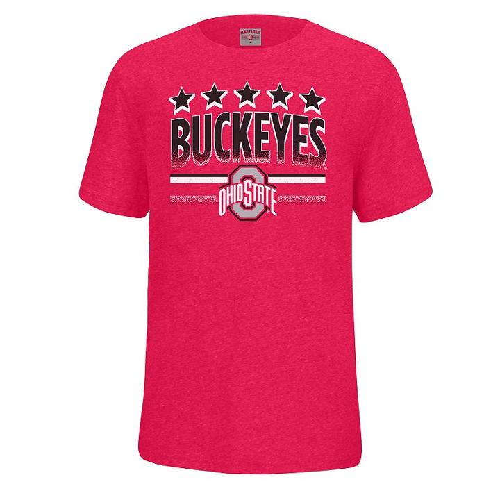 Boys 8-20 Ohio State Buckeyes Staple Tee, Size: Xl(18/20), Brt Red