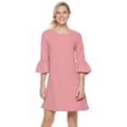 Women's Nina Leonard Balloon-sleeve Shift Dress, Size: Xl, Med Pink