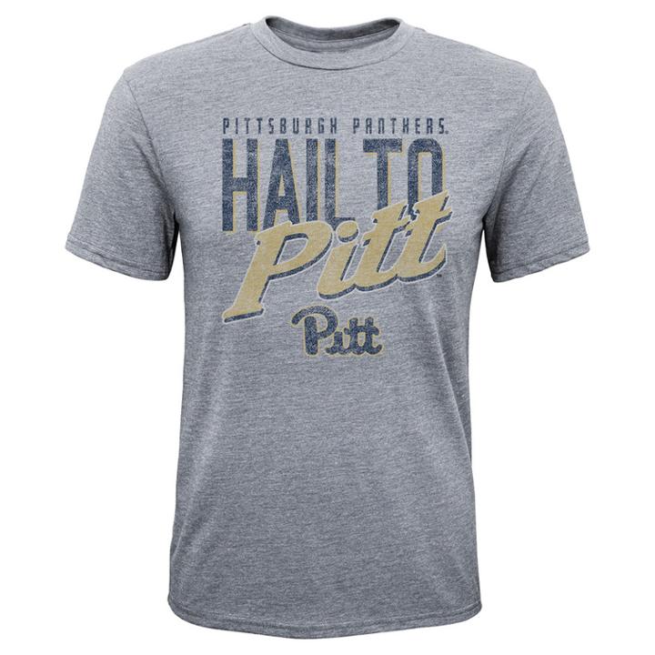 Boys 8-20 Pitt Panthers Rally Anthem Tee, Size: Xl 18-20, Grey