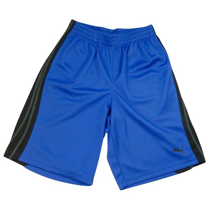 Boys 4-7 Puma Striped Mesh Shorts, Boy's, Size: 4, Blue Other
