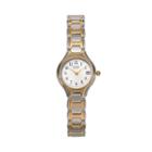 Citizen Women's Easy Reader Stainless Steel Watch, Multicolor