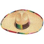Adult Costume Sombrero, Multicolor