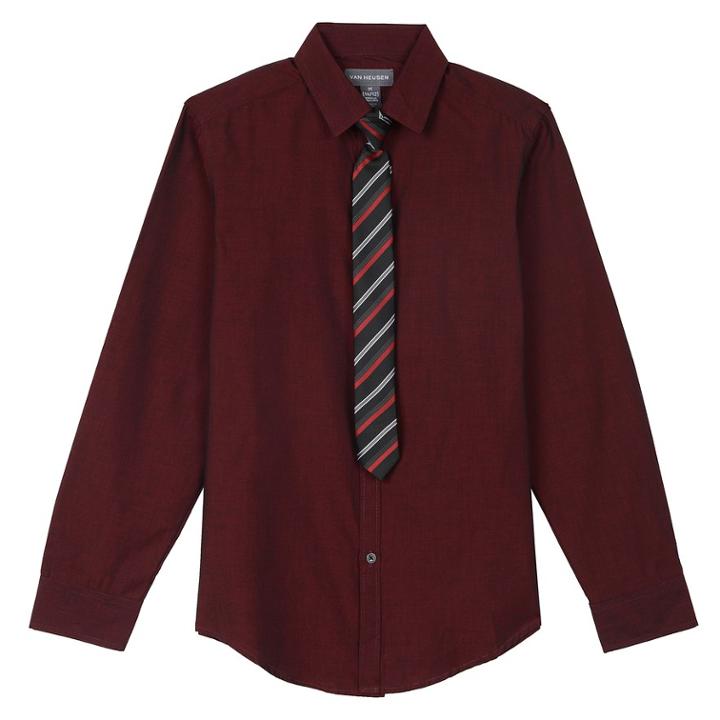 Boys 8-20 Van Heusen Iridescent Shirt & Tie Set, Size: S 8, Dark Red