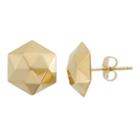14k Gold Hexagon Stud Earrings, Women's, Yellow
