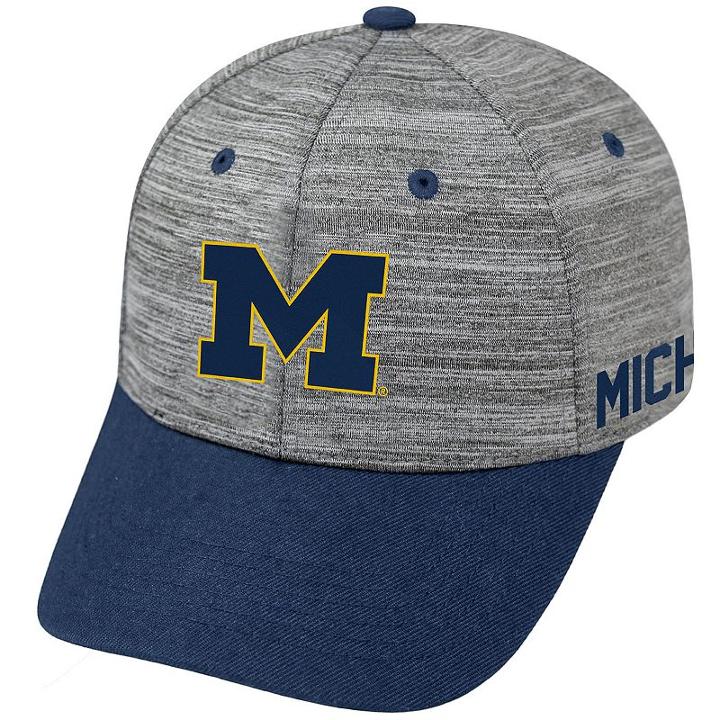 Adult Michigan Wolverines Backstop Snapback Cap, Men's, Med Grey