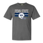 Men's Penn State Nittany Lions Retro Throwback Comfort Tee, Size: Small, Ovrfl Oth