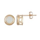 14k Gold Lab-created Opal Stud Earrings, Women's, White