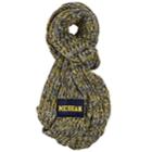 Michigan Wolverines 2017 Peak Infinity Scarf, Men's, Multicolor