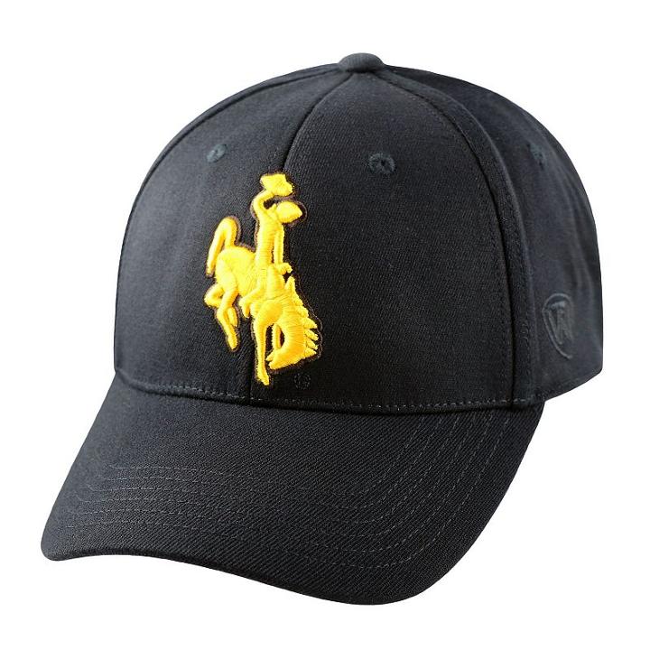 Adult Top Of The World Wyoming Cowboys Premium Collection One-fit Cap, Men's, Black