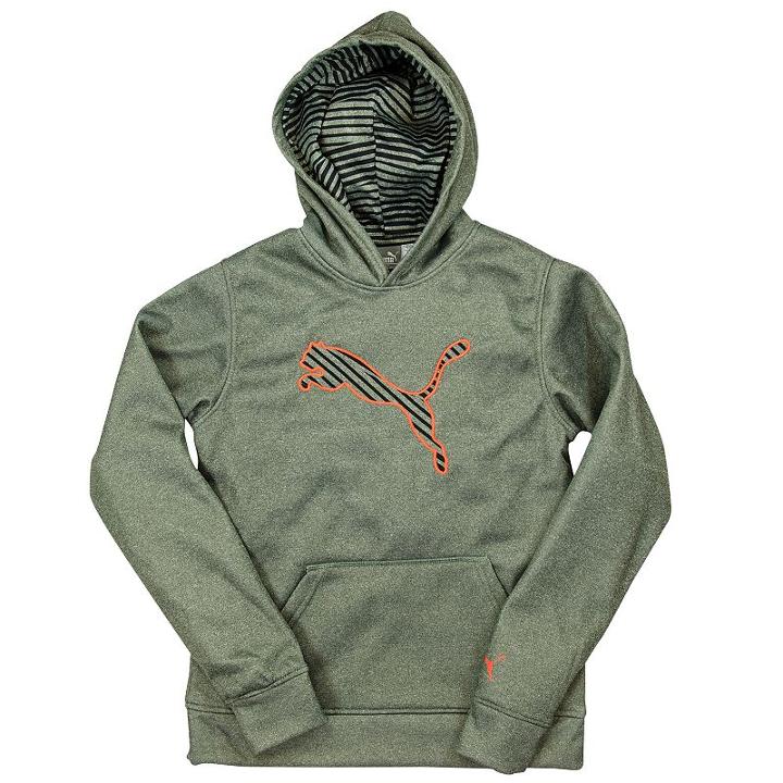 Boys 4-7 Puma Big Cat Performance Hoodie, Boy's, Size: 4, Grey Other