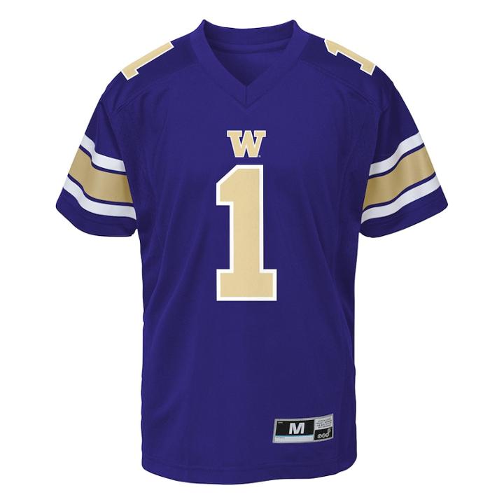 Boys 8-20 Washington Huskies Team Replica Jersey, Size: Xl 18-20, Purple