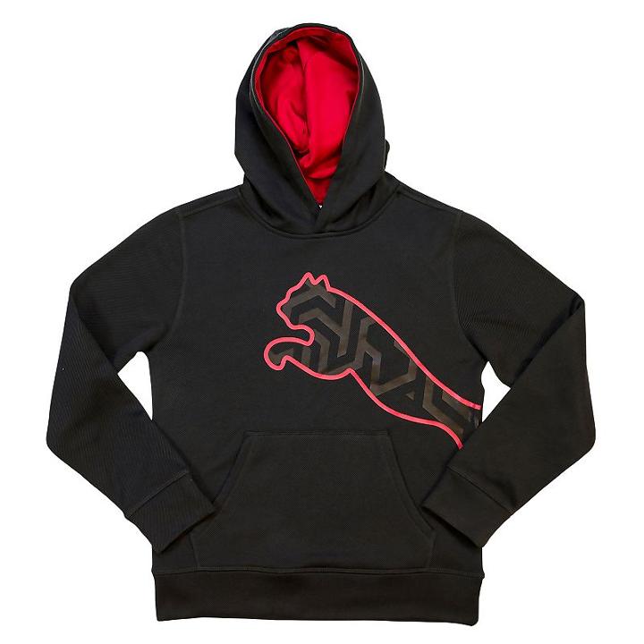 Boys 4-7 Puma Black Pullover Hoodie, Boy's, Size: 5
