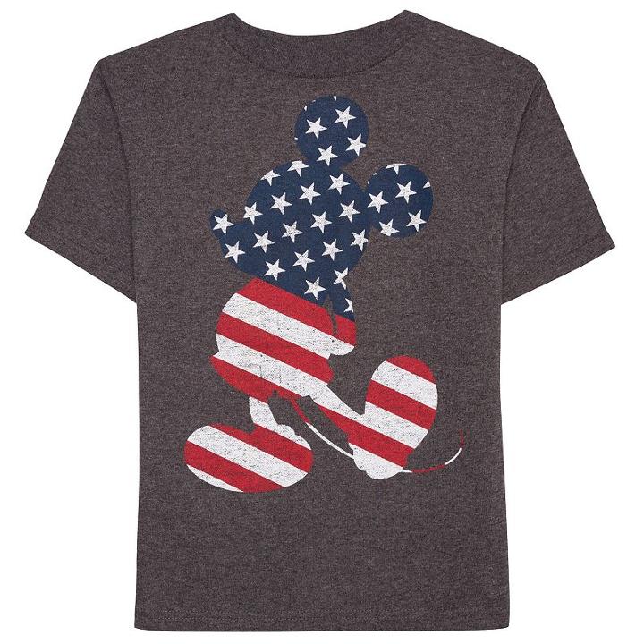 Disney's Mickey Mouse Boys 4-7 American Flag Graphic Tee, Boy's, Size: 7, Dark Grey