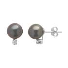 Pearlustre By Imperial Tahitian Cultured Pearl And 1/10 Carat T.w. Diamond 14k White Gold Stud Earrings, Women's, Black