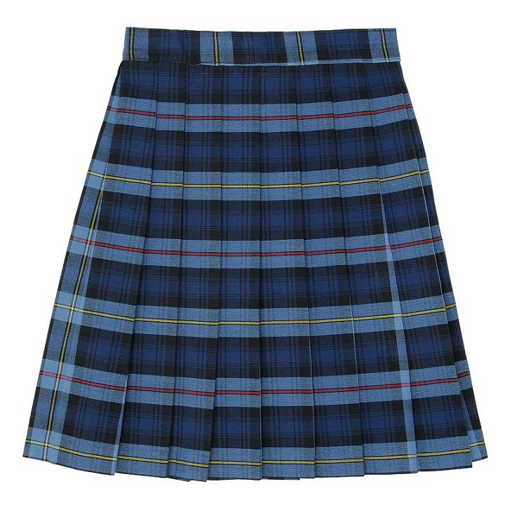 Girls 4-20 & Plus Size French Toast School Uniform Plaid Pleated Skirt, Girl's, Size: 10, Blue Other