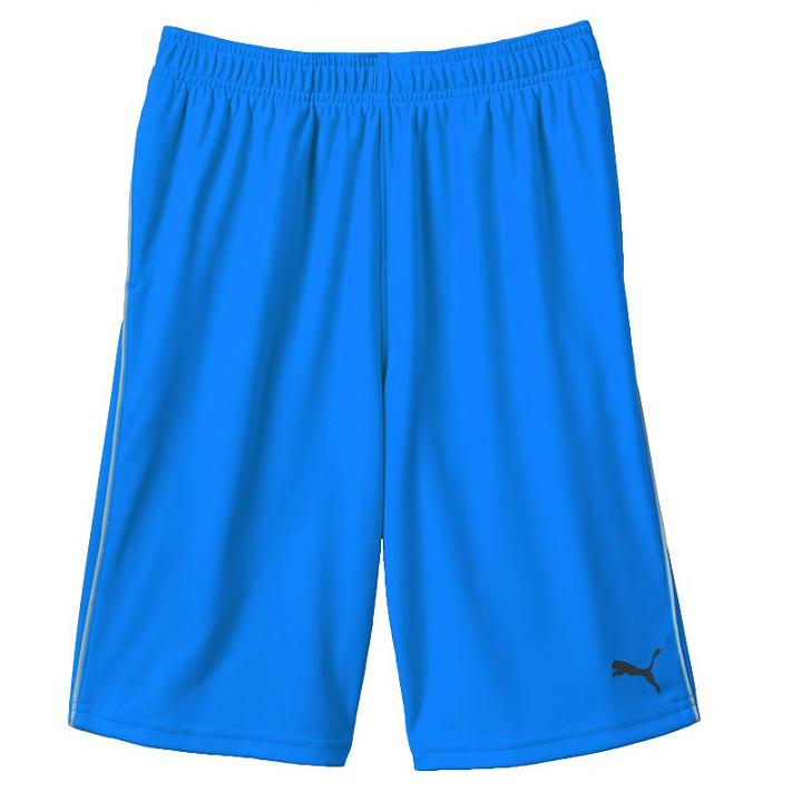 Boys 8-20 Puma Core Shorts, Boy's, Size: S(8), Blue Other