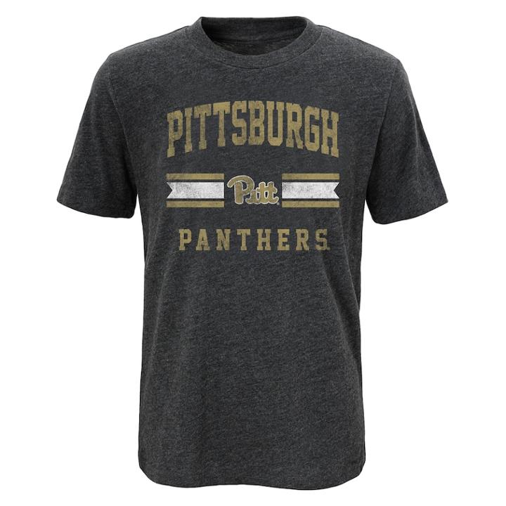 Boys 4-18 Pitt Panthers Player Pride Tee, Size: 8-10, Grey