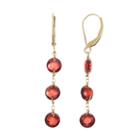 14k Gold Garnet Linear Drop Earrings, Women's, Red