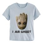 Boys 4-7 Guardians Of The Galaxy I Am Groot Baby Groot Tee, Size: 5-6, Dark Grey